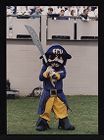 Pee Dee the Pirate